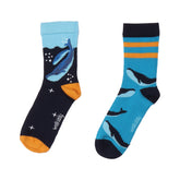 Whaley's Song – des chaussettes en coton biologique alliant durabilité et style
